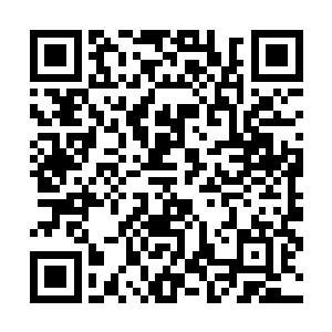 &nb像县令大人据传便是出自温桥府一擅长符箓阵法的门派二维码生成