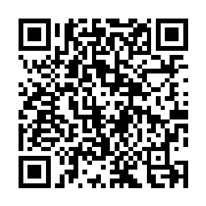 &nb哈特曼长大后渐渐知道了自己和家族里其他人的不同二维码生成