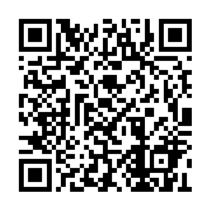 &nb它体内的月光精华已经完全被吸收的一干二净二维码生成