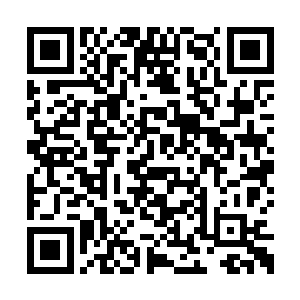 &nb怪不得都说有钱人想要赚钱容易得跟捡钱一样二维码生成