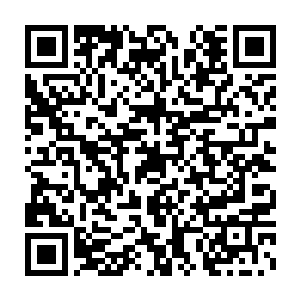 &nb斯蒂芬先生第一次在迈阿密出现的时候是个非常严肃非常有威严的人二维码生成