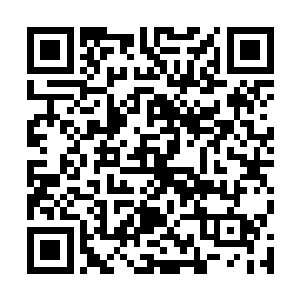 &nb本以为探索这个秘境不管怎么样都能得到一点好东西二维码生成