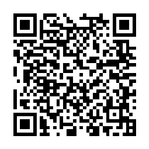 &nb此时对面的那头上古巨兽显然也是非常的不高兴二维码生成