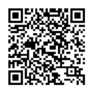 &nb而这个时候夏儿突然记起来叶秋昏迷过去的时候说过的话二维码生成