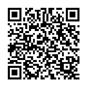 |三八文学杨洛又在带着人去了东京铁塔还有靖国神社确定坐标二维码生成