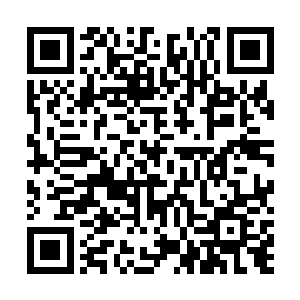 §¤¤¤¤¤我看见吕先生将那那具白骨小心翼翼的放在地上二维码生成