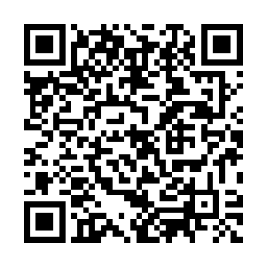 ¨我不知道大家不久之前是否看到了关于我和桑德拉的绯闻二维码生成