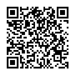 ··谁特喵的让血姬冷竟然突然抽空了她们仨所有的储备能量~二维码生成