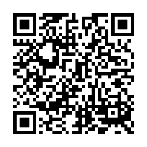 ――因为知道这时候的学校一般都要自带被褥的二维码生成
