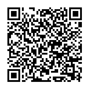 ――此果实可以让堡主大人的身体在水中和寒冷环境下的耐寒性提高1%二维码生成