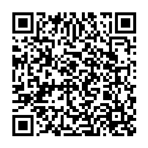 ――此果实可以让堡主大人的身体的伤势的愈合与恢复能力提高百分之1%二维码生成