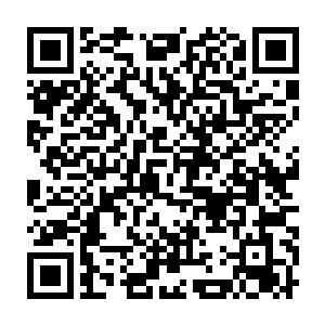 ――此果实可以让堡主大人的身体的防御和承受攻击的能力增强1%二维码生成