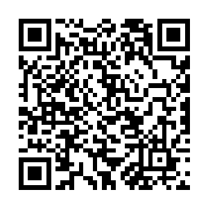 ――直到看到妮娜好像闪着寒光的爪子露了出来为止二维码生成