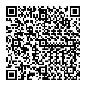 ……………………………………………………………………浮天大陆一座巨大的宫殿悬空而立二维码生成