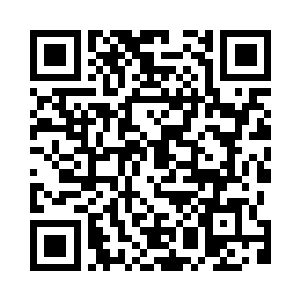 ……不建议宿主选择这个进化方向二维码生成