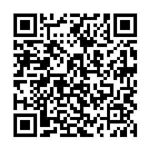 ……他似乎有点明白什么叫参与者最多的骨器大赛了二维码生成