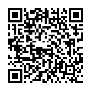 ……你的任务就是为所有的炮灰女配的人生逆袭…炮灰女配二维码生成