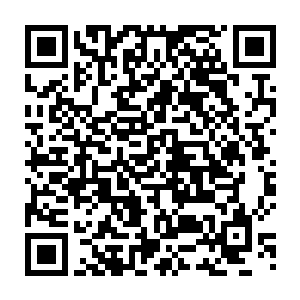 ……只要是……创造了这方世界的界主大人……愿意为他们赐下一道法旨二维码生成