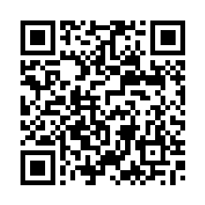 ……好像无意间又培养了一只敌鸟二维码生成