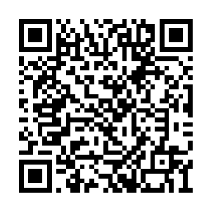 ……如果在这次爆炸中死掉的修士想要再次逆袭二维码生成