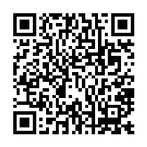 ……形形色色的测试者的变异选择以及最终进化出来的形态二维码生成