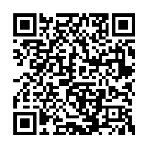 ……您让把夫人库房里头的东西清一遍理了册子二维码生成