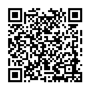 ……梓箐心中已经将这些倚老卖老的玩意骂了个遍二维码生成
