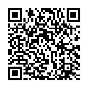 ……老子只是为了让那番话语显得有气势一点才说三十六骑的哇二维码生成