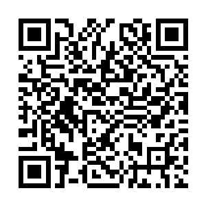 ……莫非上次那个任务世界就是她管辖的社区世界二维码生成