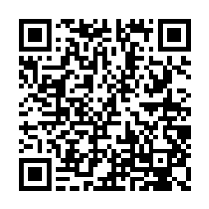 ……这么奢侈的饭菜……我们恐怕受之有愧……二维码生成