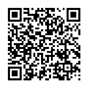 ↓上海黄浦区找小姐24小时上门热线170x8991x3627雯雯二维码生成