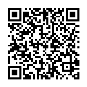 ↓攀枝花仁和区找小姐24小时上门热线170x8991x3627雯雯二维码生成