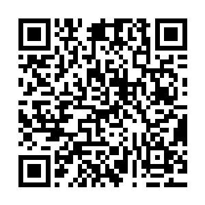 ∫费南大陆的边角村庄经常会出现一些诡异的杀人事件――诸如二维码生成