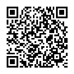 ┝┟┞要┟看书1ka┝你以为为何每一个纪元才能诞生一个主宰二维码生成