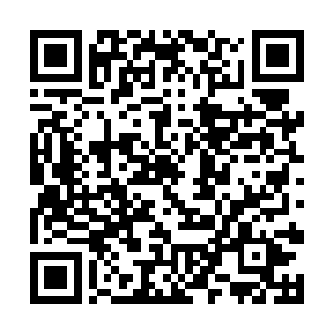 ┯c╳om这位法师一定会成为整个诸神世界的风云人物二维码生成