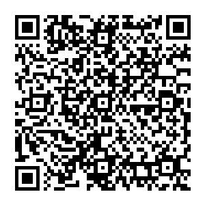 ▲ ▲▲ ▲ ▲▲▲▲▲▲▲ ▲ ▲ ▲ ▲ ▲二维码生成