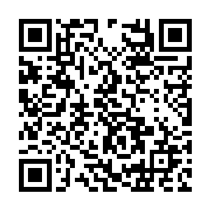 　　任仲配合美人工蜂毫不留情地对邪修痛下杀手二维码生成