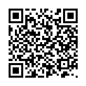 　　要不要剖开她的精神中枢看一看二维码生成