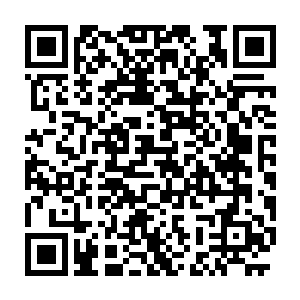 　全文字tt下载回想着自己向着寒丹举起那半株生阳草时寒丹的目光二维码生成
