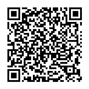 每一个空间戒指内都装有三颗仙级五品的紫云仙桃以及悟道茶树叶二维码生成