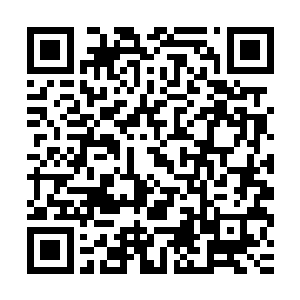 　首发但是金凤为侍所展现出的尊贵和华美又不免让人叹为观止二维码生成