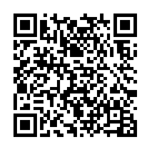 「也是……其实当年女真人把大家伙儿赶到临安时二维码生成