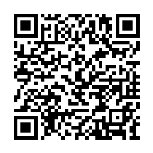 一万多条乌黑的三角头怪蛇从各个根茎上射出来二维码生成