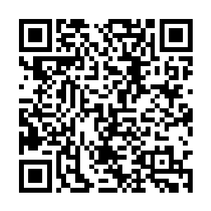 一万多苍澜宗的修士此时都聚集在黑幕仙城的东部二维码生成