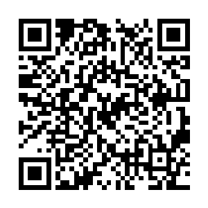 一下一下不紧不慢不慌不忙的敲在孙子轩的脑袋上二维码生成