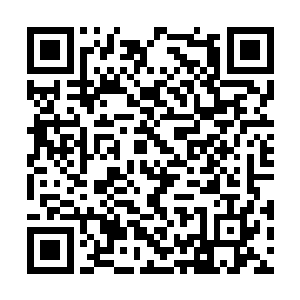 一下了这边的飞机直接就在波士顿的货运机场转运二维码生成