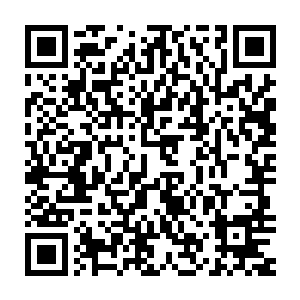 一下子原本不服这个半路杀过来的族长的人也都慢慢改变原来的思维二维码生成