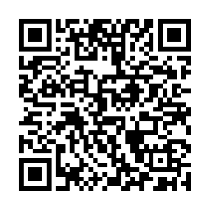 一下子四个岛屿的上空被无数光彩耀眼的灵器所覆盖二维码生成