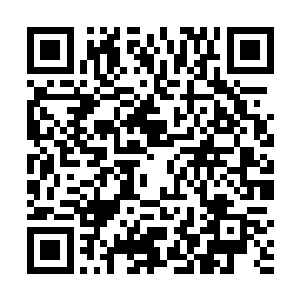 一下子将措手不及的妖神执行者砸的丢掉了手中的巨剑二维码生成