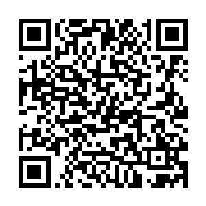 一下子将血色心魔刚刚激发出来的漫天血影统统轰散二维码生成